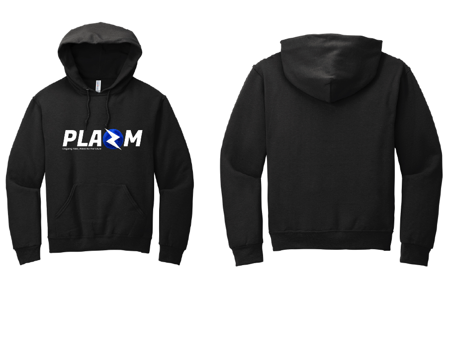 PLAZM Heavy Hoodie (Not Eligible for free Promo)